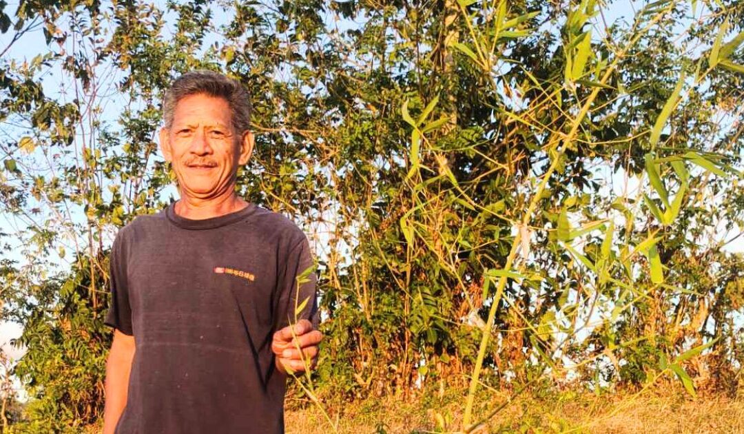 Protecting Biodiversity in the Caritas Bamboo Forest Project