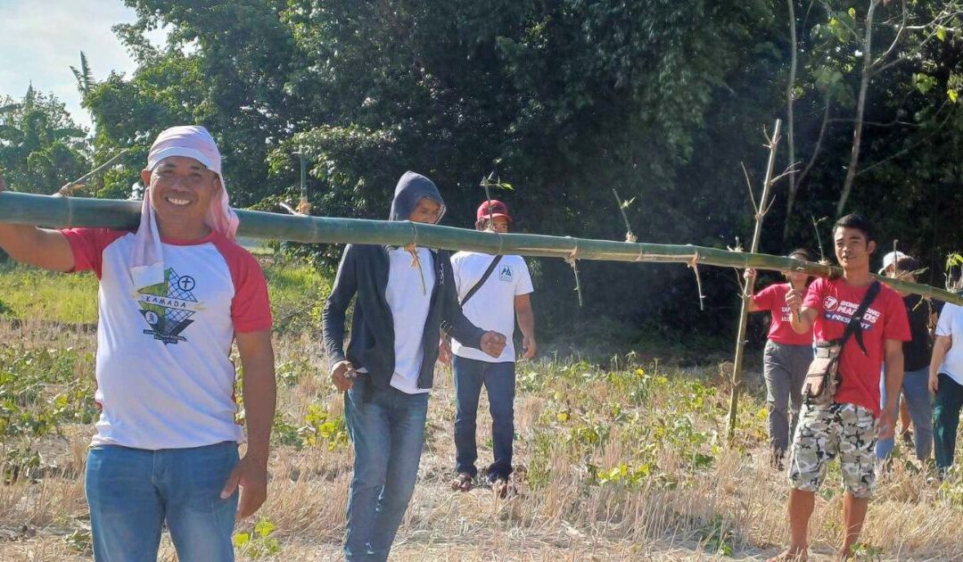 Bamboo, Agroforestry, and Collaboration: A Recipe for Habitat Restoration