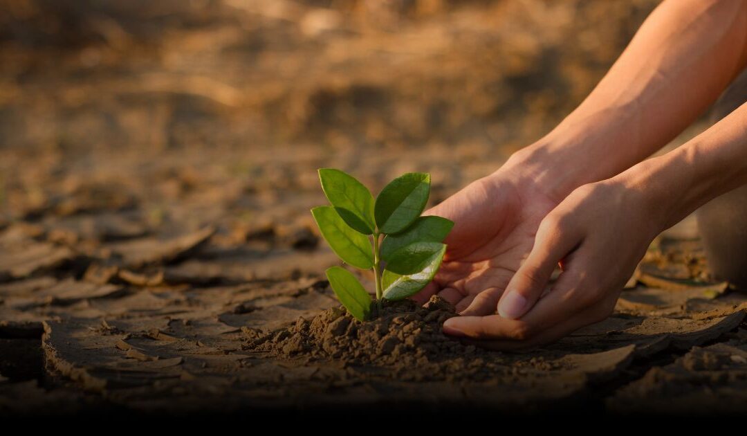 2024 Global Day of Action for Climate Justice: A Petition from the Catholic Church of the Philippines